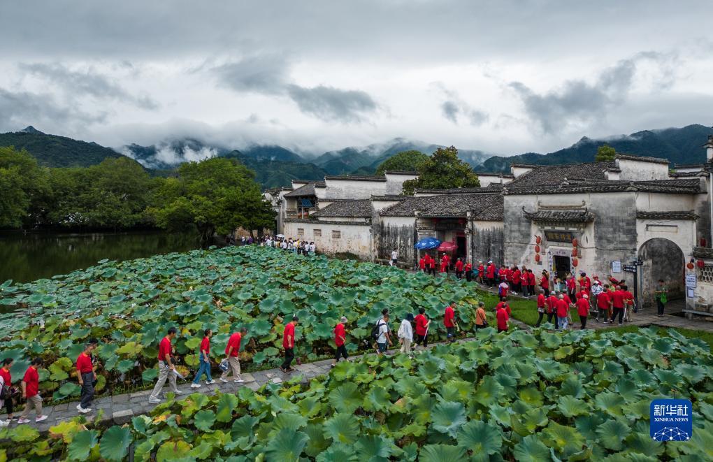 浩博最新地址
